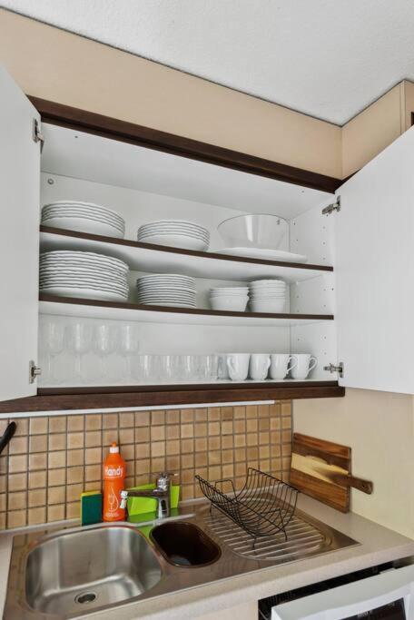 Spacious Apartment In The Heart Of Zurich Zltwg68 Eksteriør bilde